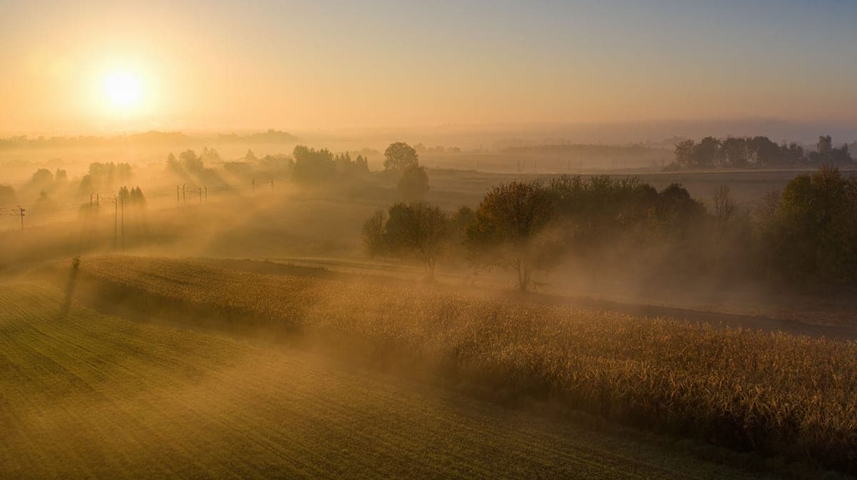 An aerial view of misty farmland at sunrise