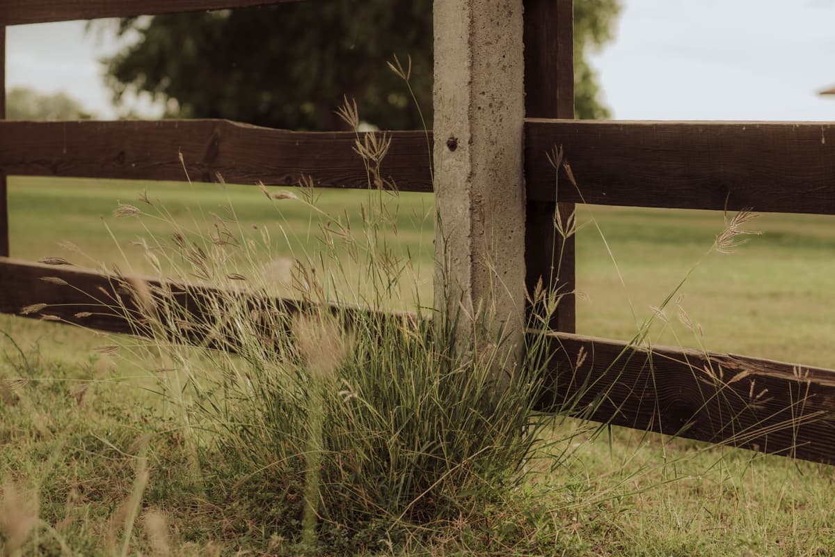 A rustic wooden fence in a green field